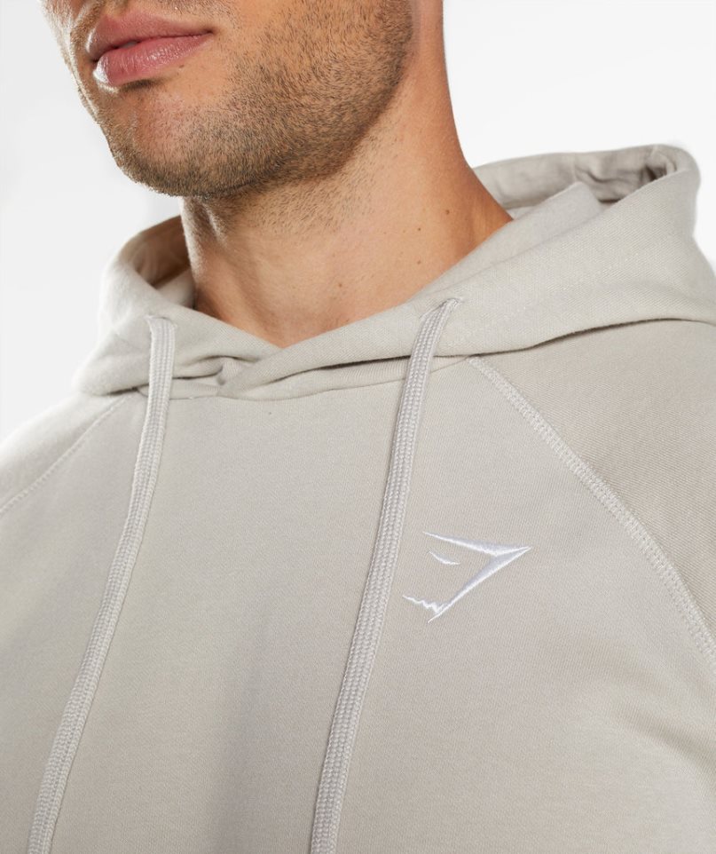 Men's Gymshark Crest Hoodie Light Grey | CA 7DAN16